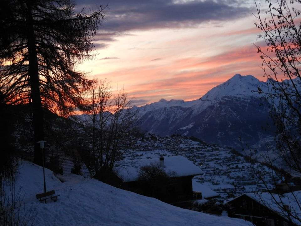 PHOTO-2018-12-25-15-39-15